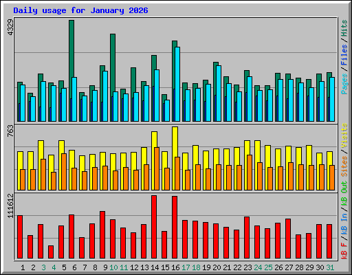 Daily usage for January 2026