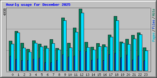 Hourly usage for December 2025