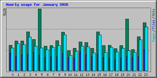 Hourly usage for January 2026