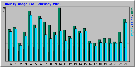 Hourly usage for February 2026