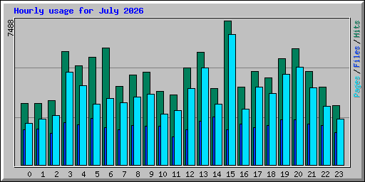 Hourly usage for July 2026