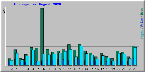 Hourly usage for August 2026