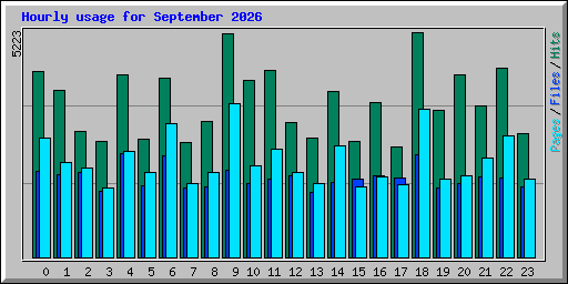 Hourly usage for September 2026